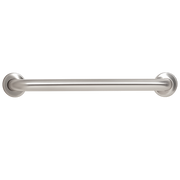 Concealed Flange Straight Grab Bar